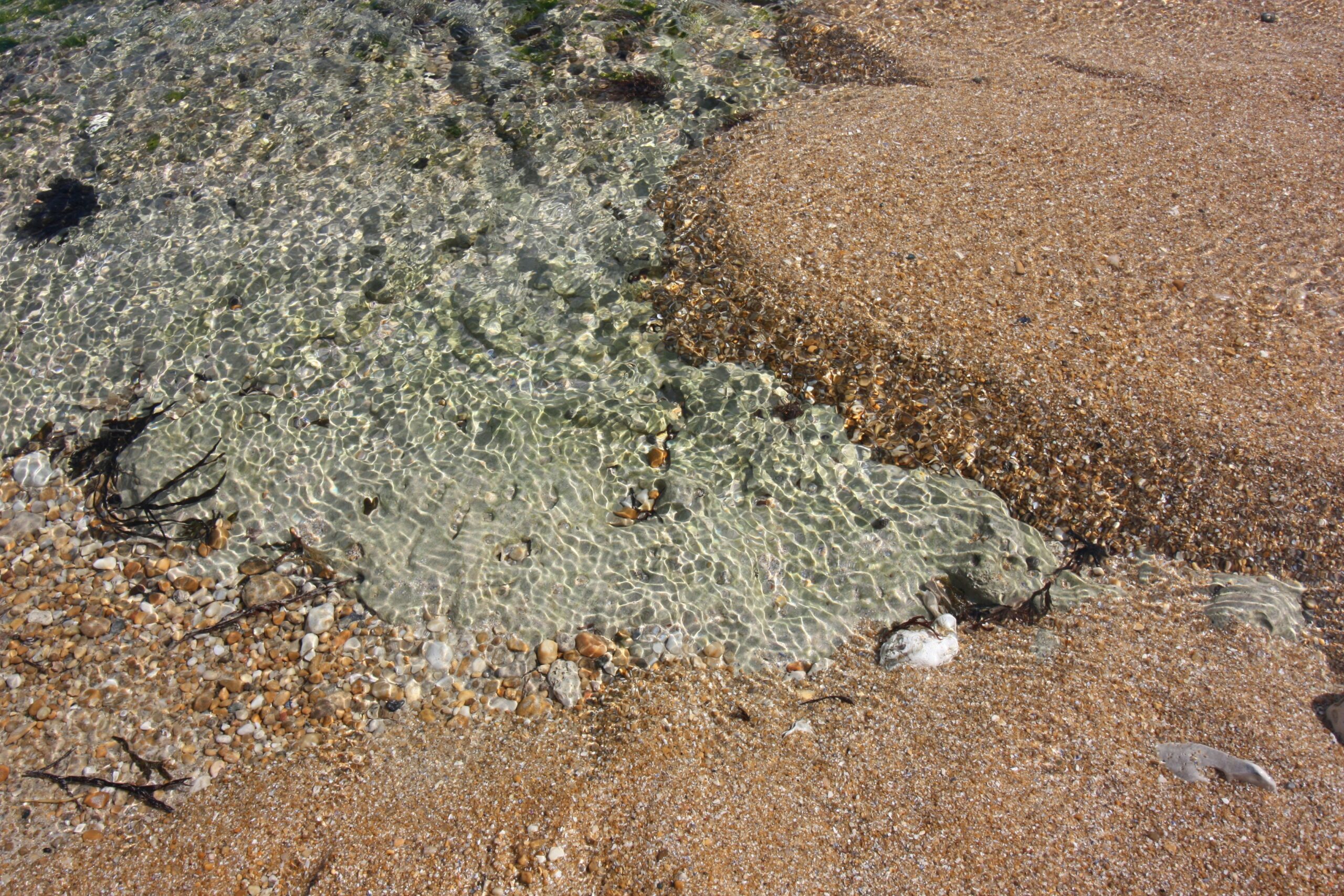 Before-and-after images showcasing improved skin tone after using organic seaweed