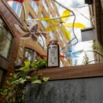 organic seaweed in beauty products