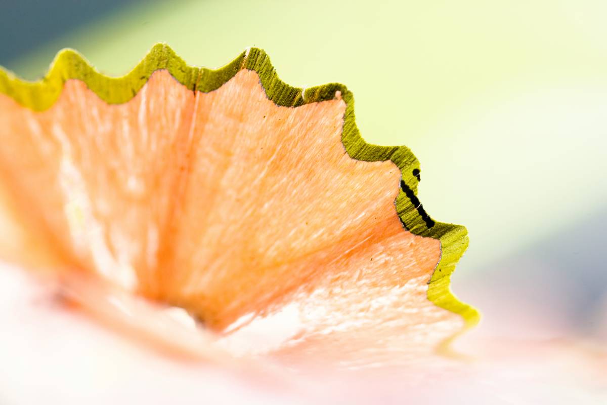 Why Edible Marine Plants Are the Secret to Organic Beauty (Hint: It's in the Seaweed)