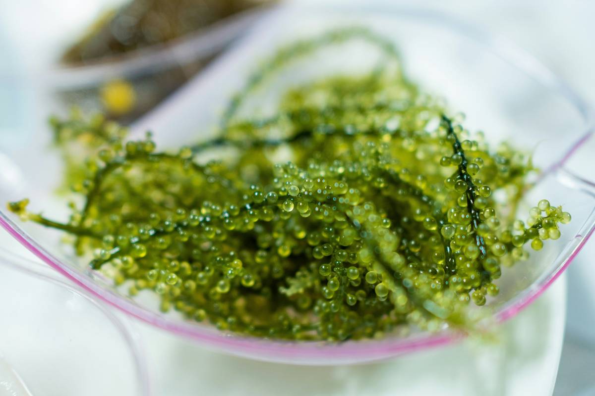 A close-up image of Irish moss capsules on a wooden table with a glass of water