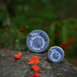 Unlock Radiant Skin: Harness the Power of Fucoidan Extract from Organic Seaweed