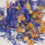 Unlock the Power of Nori Superfood: Your Ultimate Organic Skincare Secret