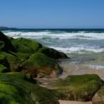 Why Marine Supplements Are the Beauty Secret You've Been Missing