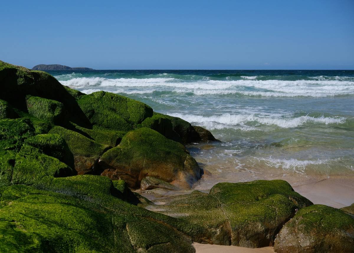 Why Marine Supplements Are the Beauty Secret You've Been Missing