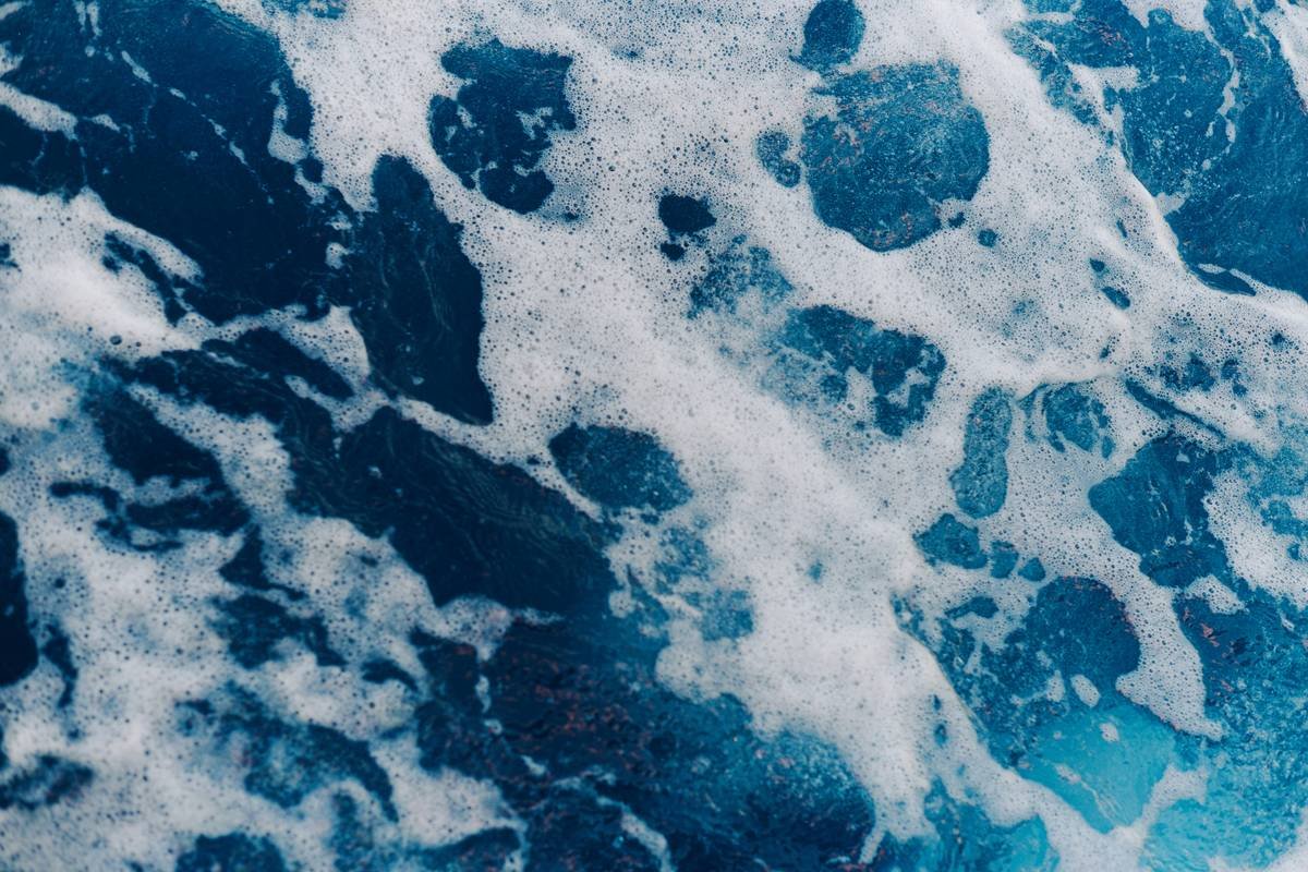 Ulva Nutrient: The Ocean’s Secret to Glowing, Resilient Skin (Backed by Science)
