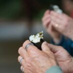 Why Laminaria Seaweed Is the Underrated Superhero of Your Organic Skincare Routine