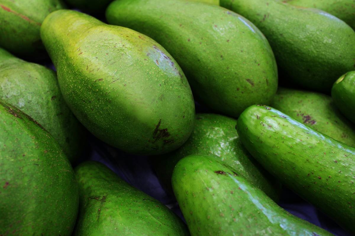 Close-up of fresh green avocados with smooth skin and natural texture. Perfect for healthy lifestyle projects, vegan diet blogs, recipe illustrations, and nutrition content. Great for use in superfood, organic farming, and tropical fruit designs.