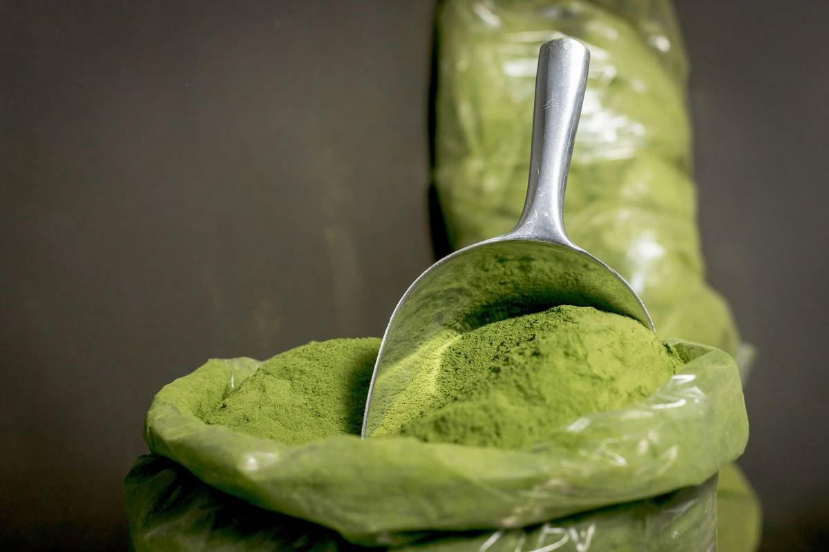 Why Laminaria Superfood Is the Ocean’s Best-Kept Secret for Glowing, Healthy Skin