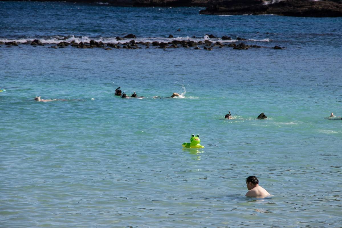A group of people swimming in a body of water