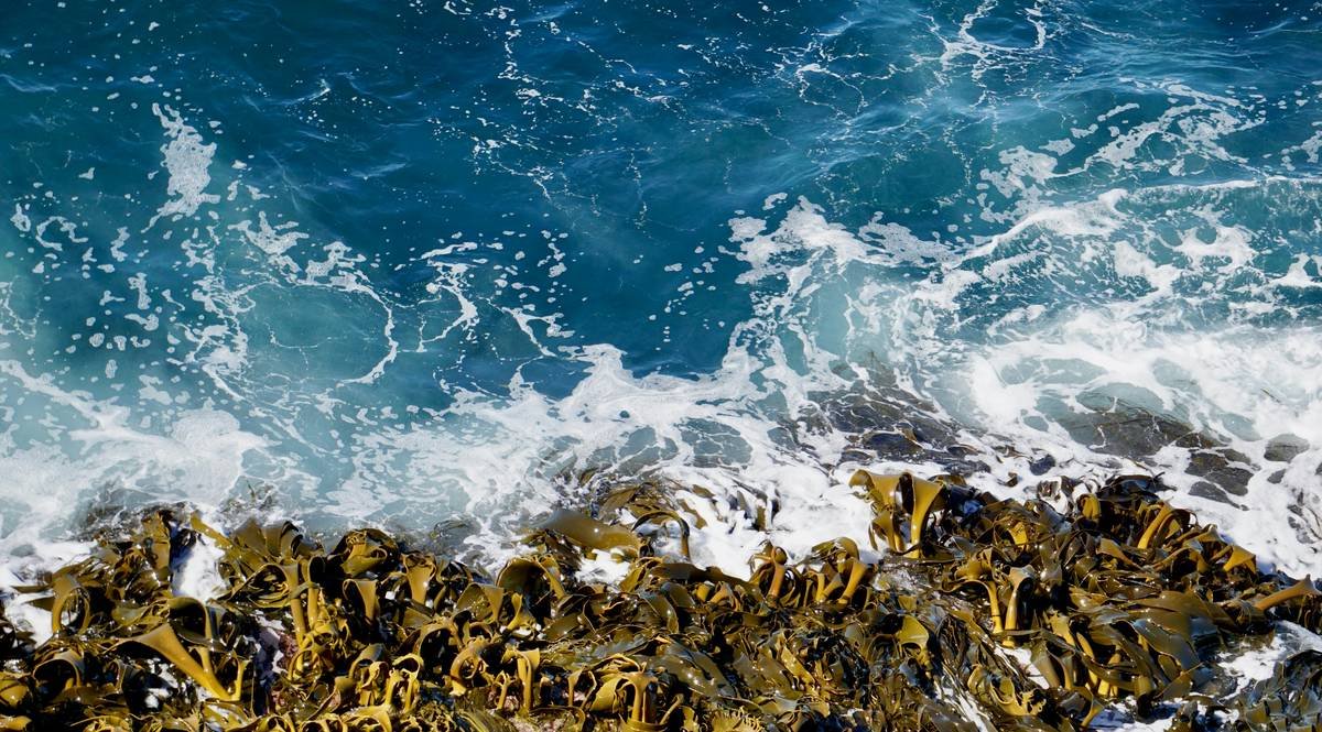 a view of the ocean from above the rocks