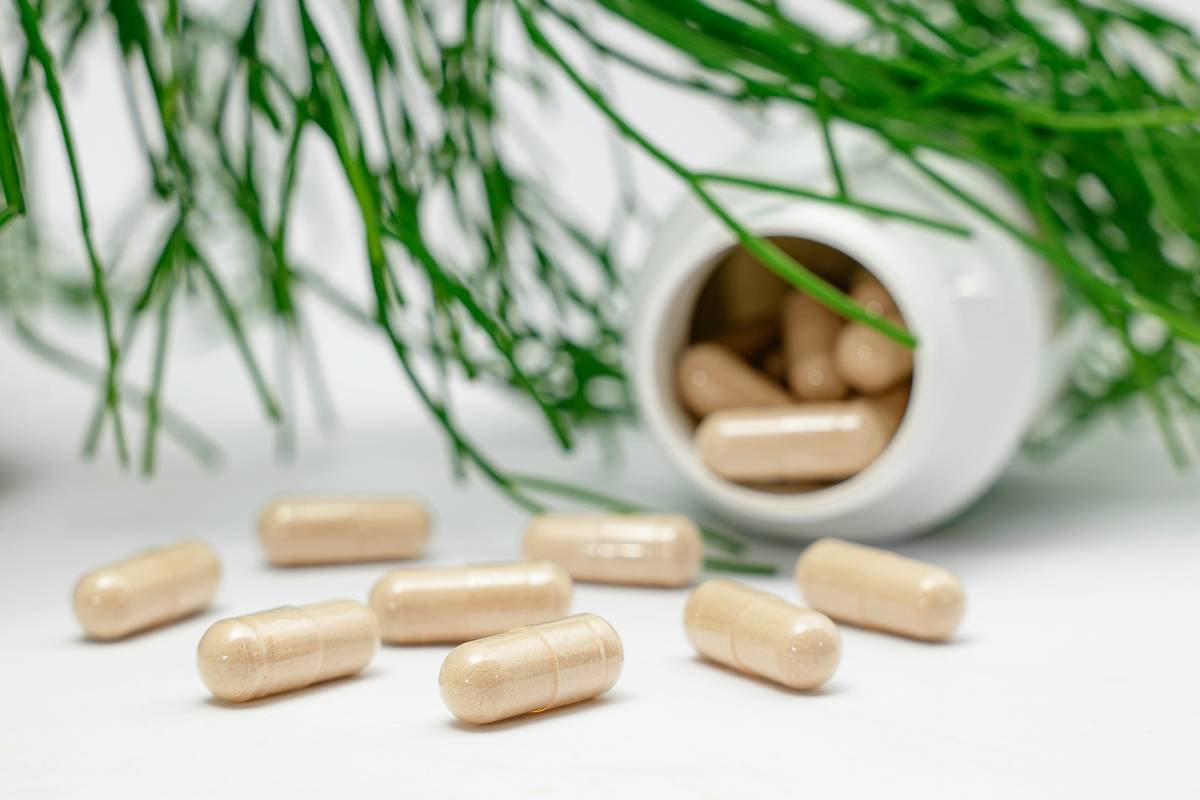 What Is a Dictyota Pill? Your Deep Dive into Organic Seaweed Skincare Science