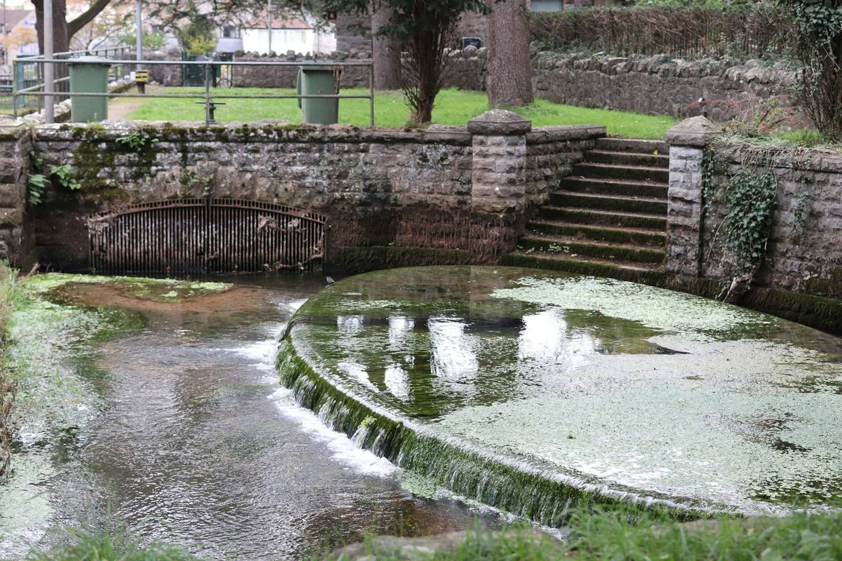 A small waterfall cascades into a pond.