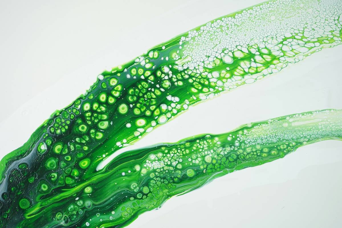 Green fluid