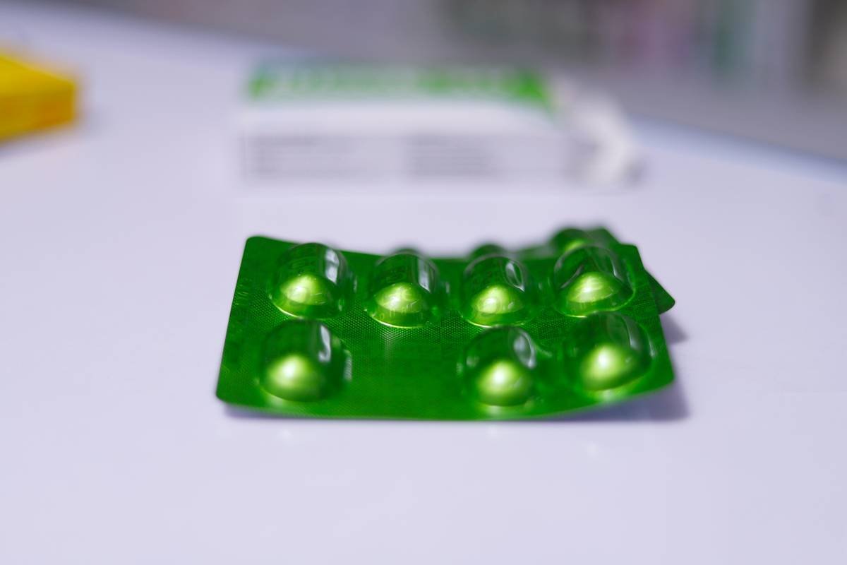 Microscopic view of Vaucheria litorea filaments showing chloroplasts and lipid droplets